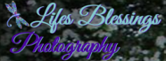 Logo for Life Blessings Photography